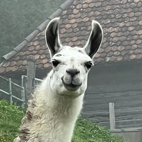 Llama Holding B.V.